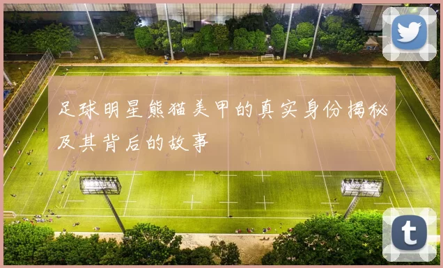 足球明星熊猫美甲的真实身份揭秘及其背后的故事