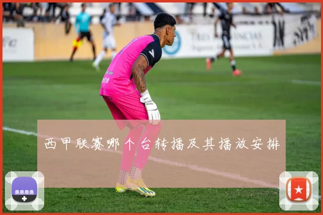 西甲联赛哪个台转播及其播放安排