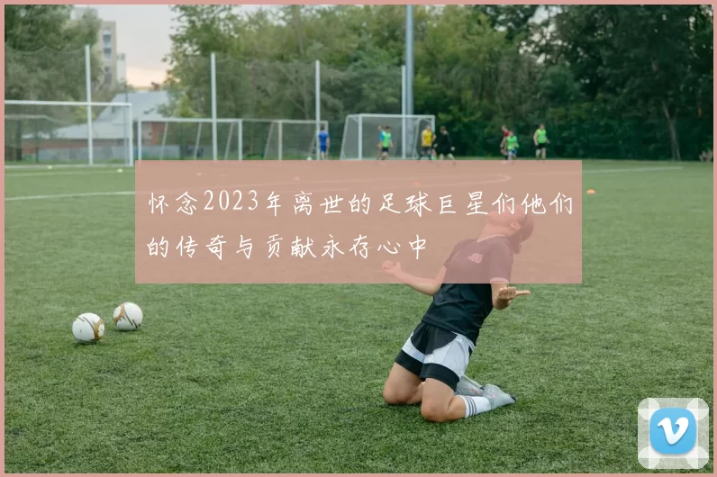 怀念2023年离世的足球巨星们他们的传奇与贡献永存心中
