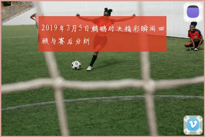 2019年3月5日鹈鹕对决精彩瞬间回顾与赛后分析