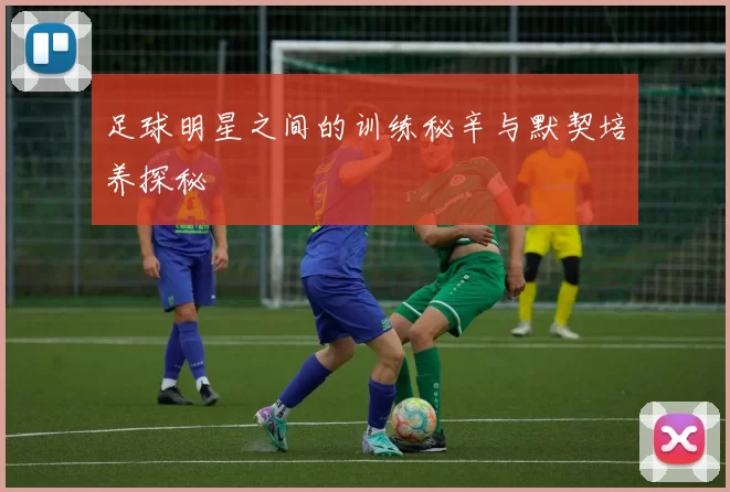 足球明星之间的训练秘辛与默契培养探秘