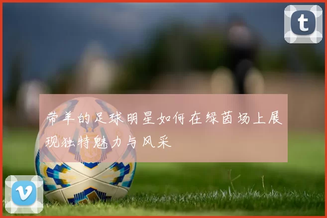 带羊的足球明星如何在绿茵场上展现独特魅力与风采