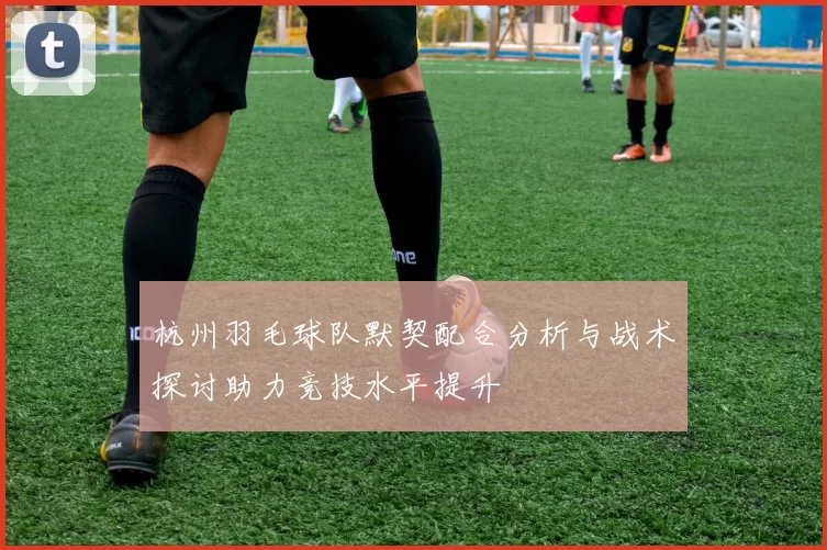 杭州羽毛球队默契配合分析与战术探讨助力竞技水平提升