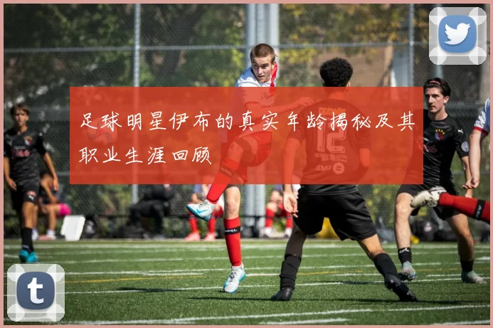 足球明星伊布的真实年龄揭秘及其职业生涯回顾