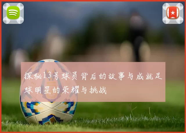 探秘13号球员背后的故事与成就足球明星的荣耀与挑战