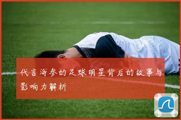 代言海参的足球明星背后的故事与影响力解析