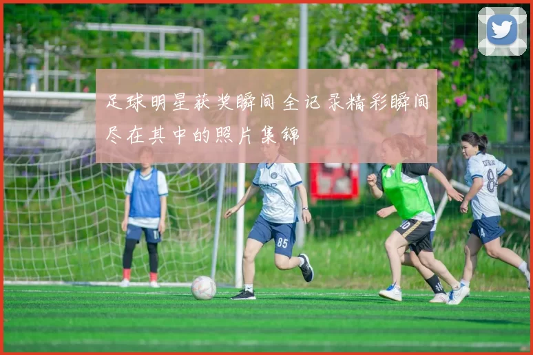 足球明星获奖瞬间全记录精彩瞬间尽在其中的照片集锦