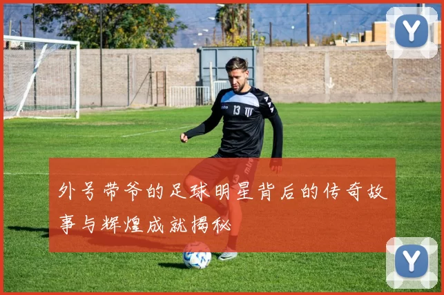 外号带爷的足球明星背后的传奇故事与辉煌成就揭秘