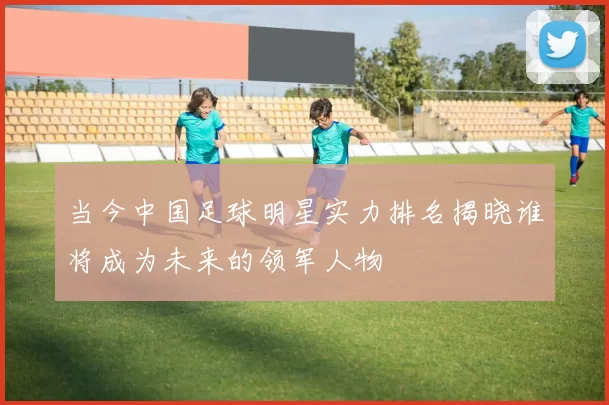 当今中国足球明星实力排名揭晓谁将成为未来的领军人物