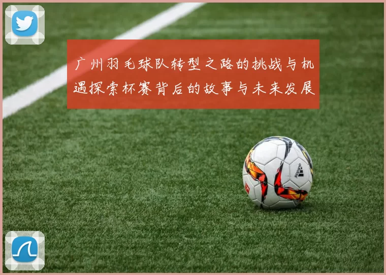 广州羽毛球队转型之路的挑战与机遇探索杯赛背后的故事与未来发展