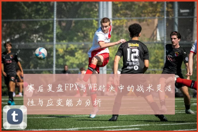 赛后复盘FPX与WE对决中的战术灵活性与应变能力分析