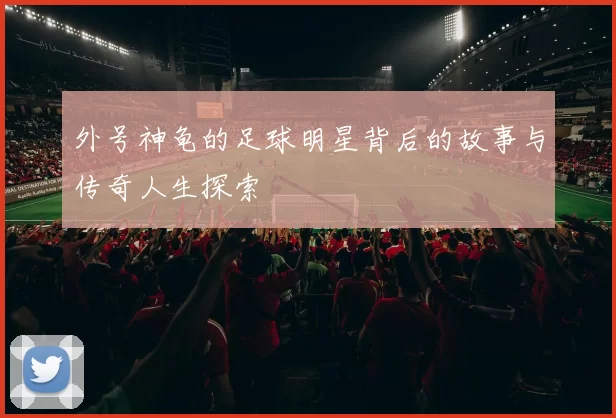 外号神龟的足球明星背后的故事与传奇人生探索