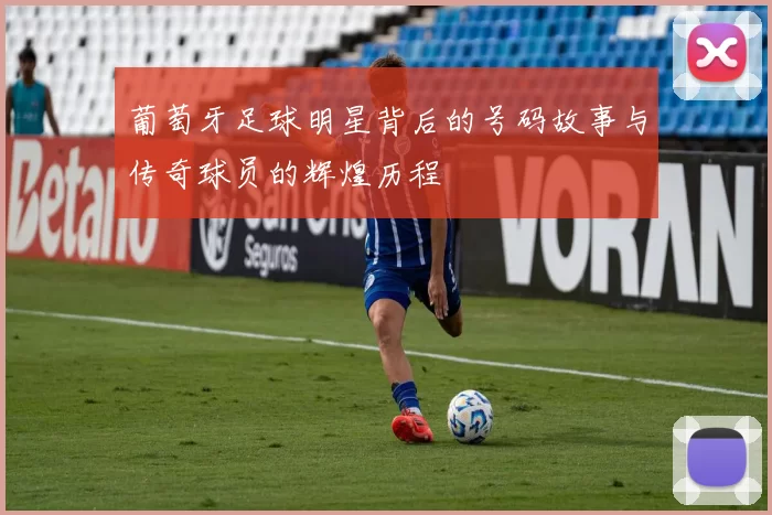 葡萄牙足球明星背后的号码故事与传奇球员的辉煌历程