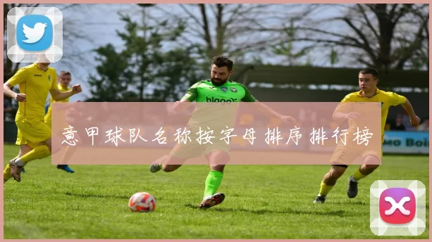 意甲球队名称按字母排序排行榜