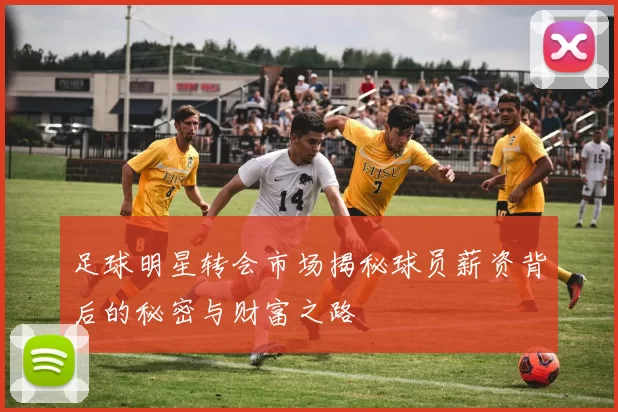 足球明星转会市场揭秘球员薪资背后的秘密与财富之路