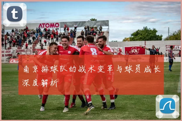 南京排球队的战术变革与球员成长深度解析