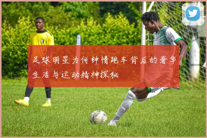 足球明星为何钟情跑车背后的奢华生活与运动精神探秘